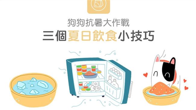 狗狗抗暑大作戰！3個夏日飲食小技巧