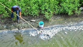 澎湖水庫水枯見魚屍　打撈驗水質（1）澎湖馬公興仁水庫發生大量吳郭魚等淡水魚死亡，漂聚在水庫岸際，自來水公司與澎湖環保局3日派員進行打撈與水質檢測。中央社　107年6月3日