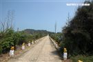 島上著名景點生明路。（記者邱榮吉/大膽島拍攝）
