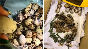 一名網友的鄰居日前買鳥蛋回家準備煮來吃，沒想到小鵪鶉竟破殼而出，活蹦亂跳地走來走去。其他網友看到後掀起熱議，紛紛直呼「秒變現成鳥爸爸！」（圖／翻攝自爆廢公社）