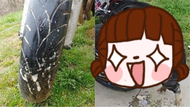 後輪黏黏！性侵犯狂射影片　笑翻網友