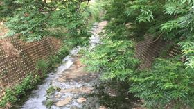 名家／環境資訊中心／梅雨不來卻「放水流」　建案、河川工程虛耗水資源