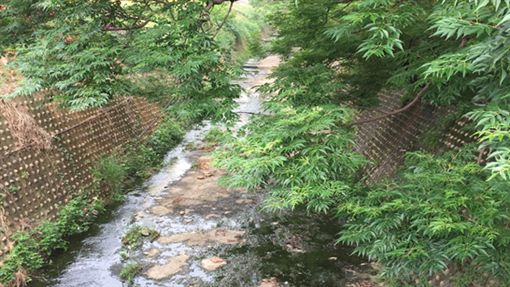 梅雨不來…建案、河川工程卻浪費水
