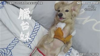 戴墨鏡穿花襯衫 臘腸變身臘台妹