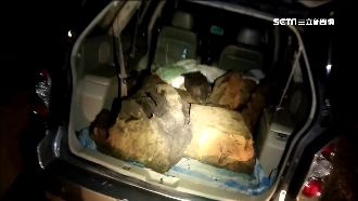 山老鼠見警狂飆逃逸　警連開4槍逮人