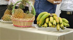 香蕉,農委會,鳳梨,金鑽鳳梨,農民,價格