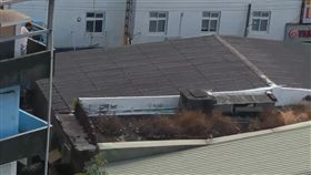 新北市,新莊,丹鳳捷運站,公寓,BB槍,BB彈,流浪貓，翻攝自「愛．新莊」