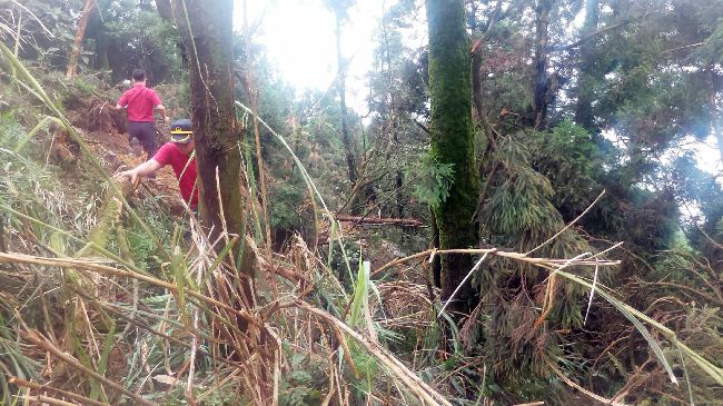 失聯F-16戰機　生命警示器未啟動