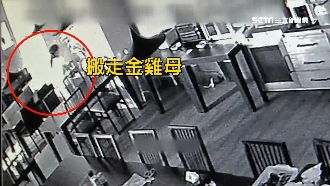 抹洗碗精「滑」進店　賊竊走鎮店之寶