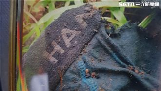 殉職飛官相驗結果　確認是吳彥霆！