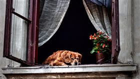 窗戶,開窗,關窗(圖/pixabay)