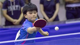 竹市小四生葉伊恬獲選少年桌球國手新竹市東園國小四年級學生葉伊恬靠著對桌球的興趣與努力屢創佳績，今年更獲選少年桌球國手，成為竹市最年輕獲選少年國手的小球員。（東園國小外聘桌球教練楊慶昱提供）中央社記者魯鋼駿傳真　107年6月3日