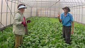 中醫退休轉務農　種出優質有機蔬菜退休中醫師黃博元（右）在台南市佳里區經營有機農場，採網室配合輪作與滴灌栽培方式，種出優質有機蔬菜。（農糧署南區分署提供）中央社記者楊思瑞傳真　107年6月3日