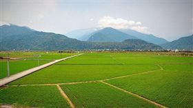 稻田,花蓮東里火車站 圖／攝影者pang yu liu, Flickr CCLicense
https://flic.kr/p/FvVo3L
