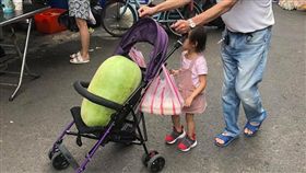阿公嬰兒車推西瓜（圖／翻攝自爆廢公社）
