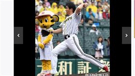 ▲中信兄弟二軍總教練林威助回甲子園開球。（圖／截自日本媒體）