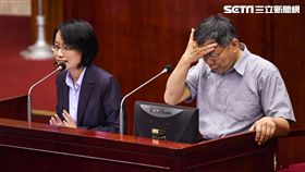 北農總經理吳音寧出席市議會總質詢。 （圖／記者林敬旻攝）