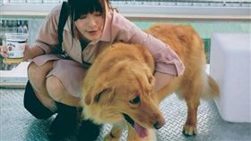 李依瑾（圖/翻攝自臉書）