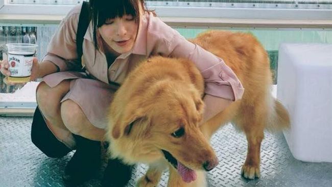 女星和狗過度親密接觸　慘被弄到脫肛