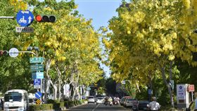 高雄城市黃金雨春夏之際，高雄有不少街道掛滿金黃色的燈籠，整排的阿勃勒行道樹熱情奔放地綻放，吸引路人佇足拍照，以文化中心周邊最燦爛。（高市府提供）中央社記者王淑芬傳真  107年6月5日