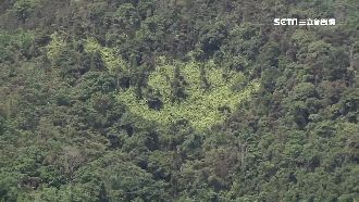 如來神掌打偏了？巨型掌印鯉魚潭鷹穴