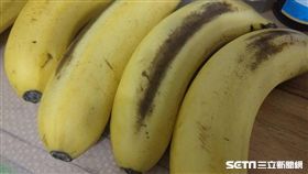 香蕉,農委會,鳳梨,金鑽鳳梨,農民,價格