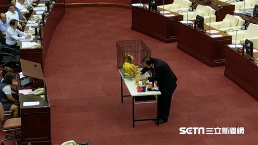 王世堅總質詢批柯文哲暗黑/稻草人批陳景峻面對吳音寧無為