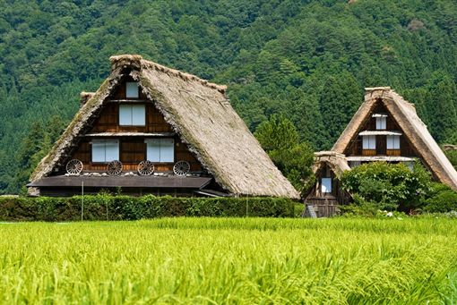 圖／虎航提供