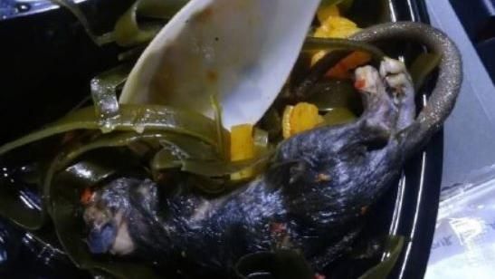 便當海帶咬不斷　順勢夾起竟是鼠