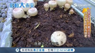 甘蔗廢渣變黃金　「渣」男廢物再生術