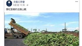 香蕉,農民,民進黨,林俊憲,農糧署,文青工作會,國民黨