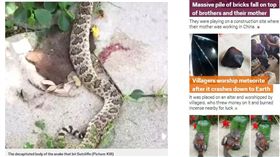 圖／翻攝自《都市日報》