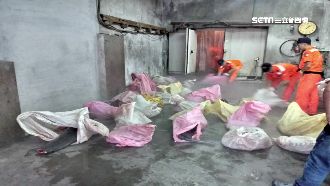 南方澳私宰海豚肉　海巡查獲50袋