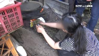 夫鋸木材觸電身亡　遺孀付不出喪葬費