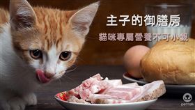 ▲圖／翻攝自PetTalk官網