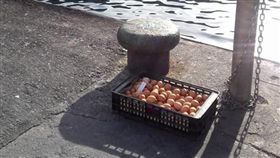 媽媽忘了我？雞蛋遭棄港口曬太陽　網笑：小雞快孵出來啦
圖翻攝自綠島大小事