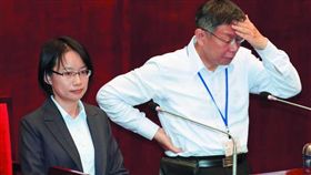 名家專用／新新聞