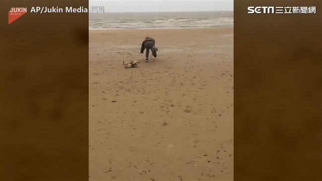 帶汪星人去海邊！萌犬太興奮絆倒主人