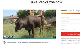 飼主傻眼！母牛逛出國界　回國遭判死
保加利亞,懷孕,母牛,潘卡,Penka,歐盟,塞爾維亞
https://www.change.org/p/save-penka-the-cow