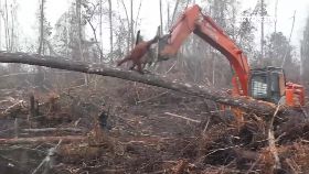 L猩猩擋怪手1100