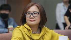 促轉會委員被提名人花亦芬立法院司法及法制委員會25日審查促進轉型正義委員會人事同意權，促進轉型正義委員會委員被提名人花亦芬25日列席接受審查。中央社記者徐肇昌攝　107年4月25日