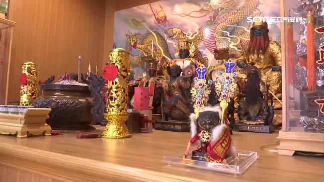 獨／金虎爺金牌遭竊　廟方肉搜抓賊