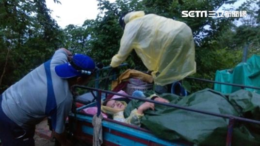 女誤觸蜂窩遭螫　消防局教你如何保命
