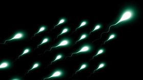 精子,研究,活力,不孕,壓力,精蟲,Eliahu Levitas,分析,研究,性愛,樣本　圖／翻攝自pixabay　https://goo.gl/jL4Gsz