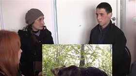 俄羅斯,西伯利亞,野熊,森林,手機,訊號　圖／翻攝自《西伯利亞時報》