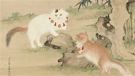 皇阿貓,貓奴,國立故宮博物院,大月曆,故宮,故宮貓咪大月曆,2019
圖/故宮