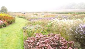 台中,花博,后里森林園區,植物