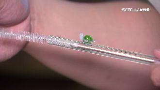 清洗有眉角！環保吸管要這樣刷才正確