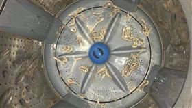 洗衣機,肉絲,煮熟,天兵,PTT,批踢踢　圖／翻攝自PTT