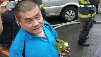 骨灰罈工廠火警　員工抱寵物鸚鵡逃命